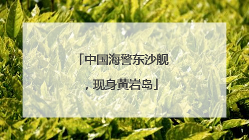 中国海警东沙舰，现身黄岩岛